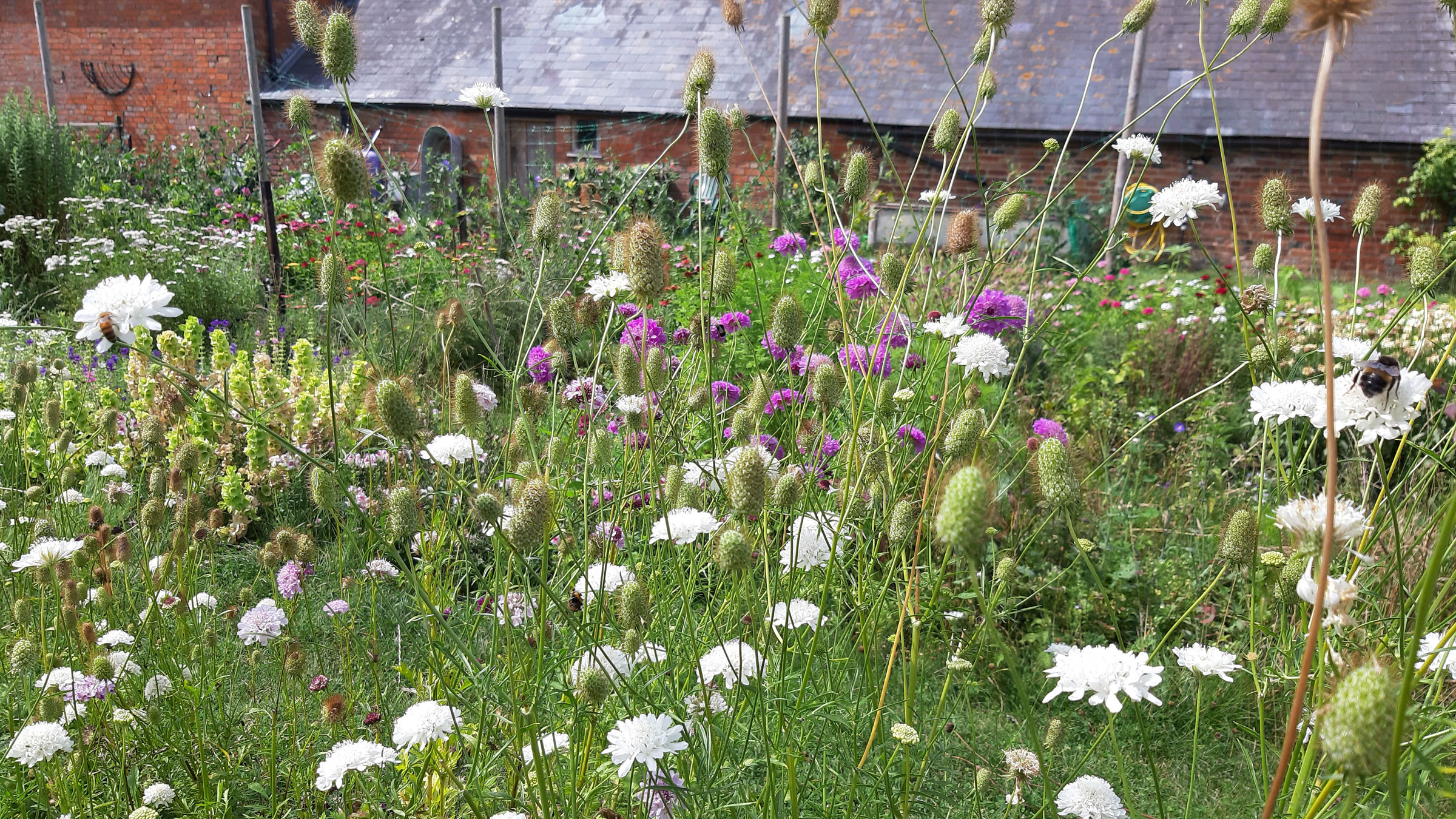 the flower season
