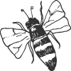 bee icon
