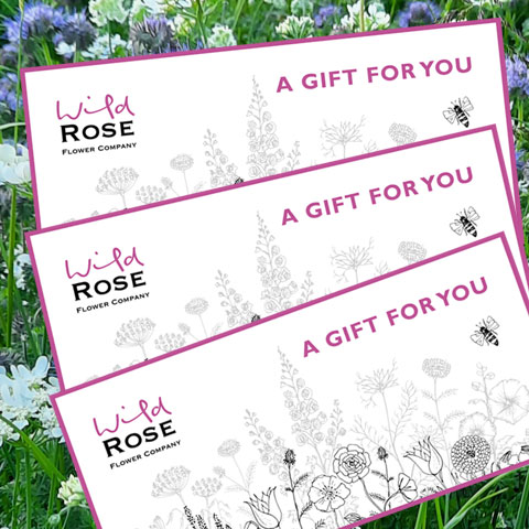 wild rose flower company gift vouchers