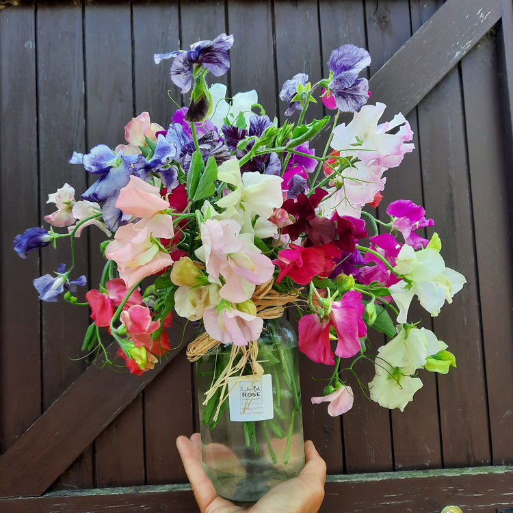 artisan flower farm producing subscription flowers