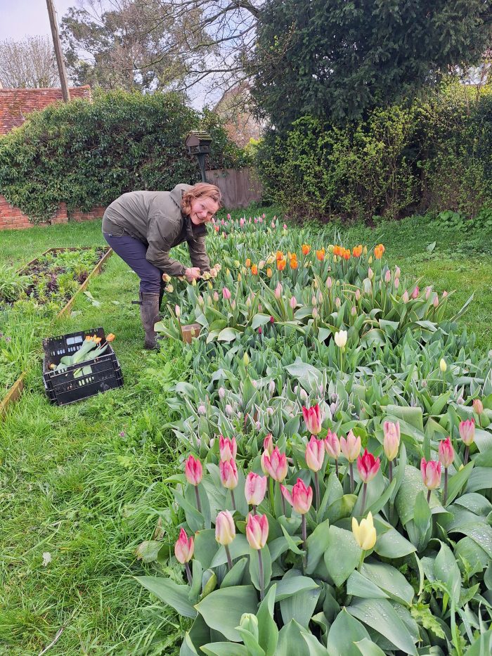 Spring PYO & Hand Tied Workshop Friday 11th April - Image 3