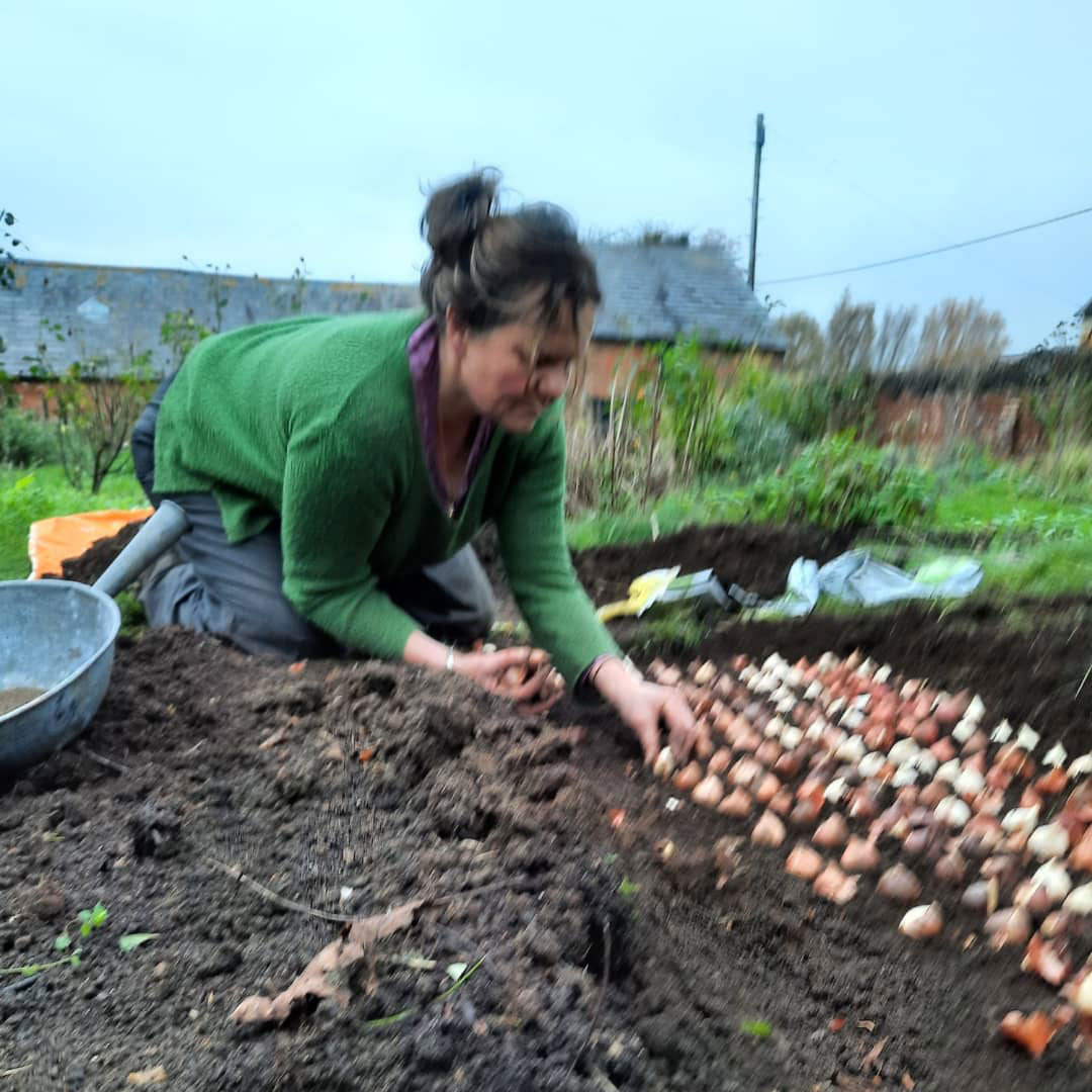 Rosie will be planting approx. 3,500 bulbs in a couple of weeks